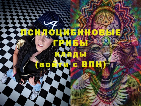 гидропоника Аркадак