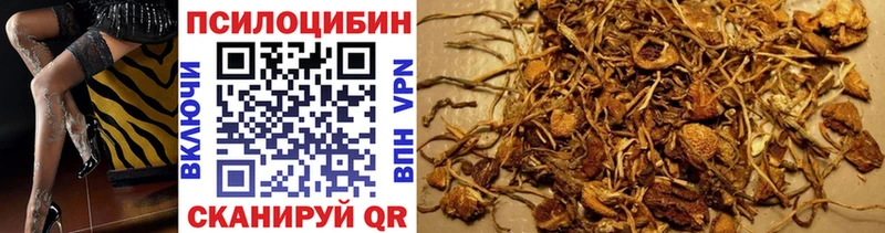 Галлюциногенные грибы ЛСД  Курган 