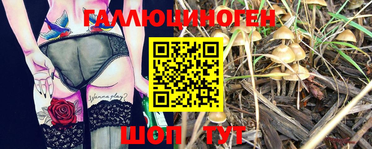 Псилоцибиновые грибы MAGIC MUSHROOMS  Псилоцибиновые грибы GOLDEN TEACHER  Вход с VPN  Курган 