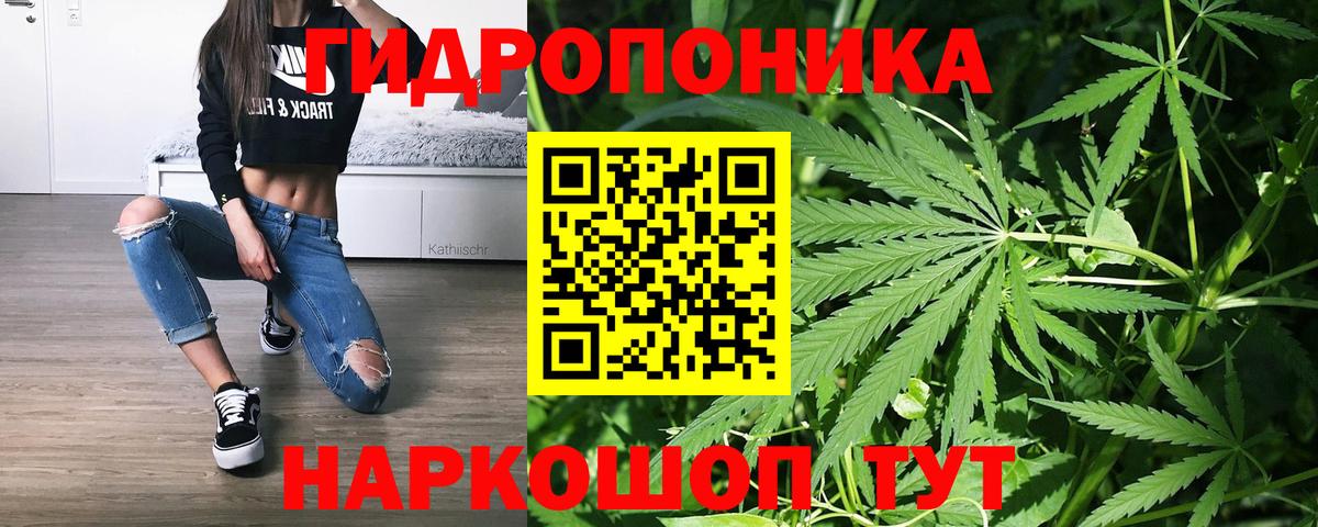 Шишки марихуана Bruce Banner  Бошки марихуана индика  Вход с VPN  Конопля марихуана  Курган 